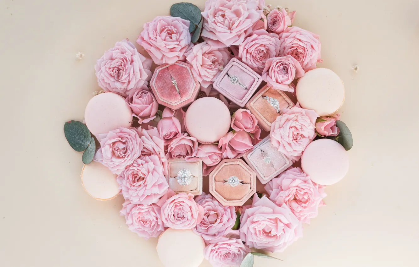 Photo wallpaper flowers, box, roses, flowers, decoration, rings, jewelry, boxes