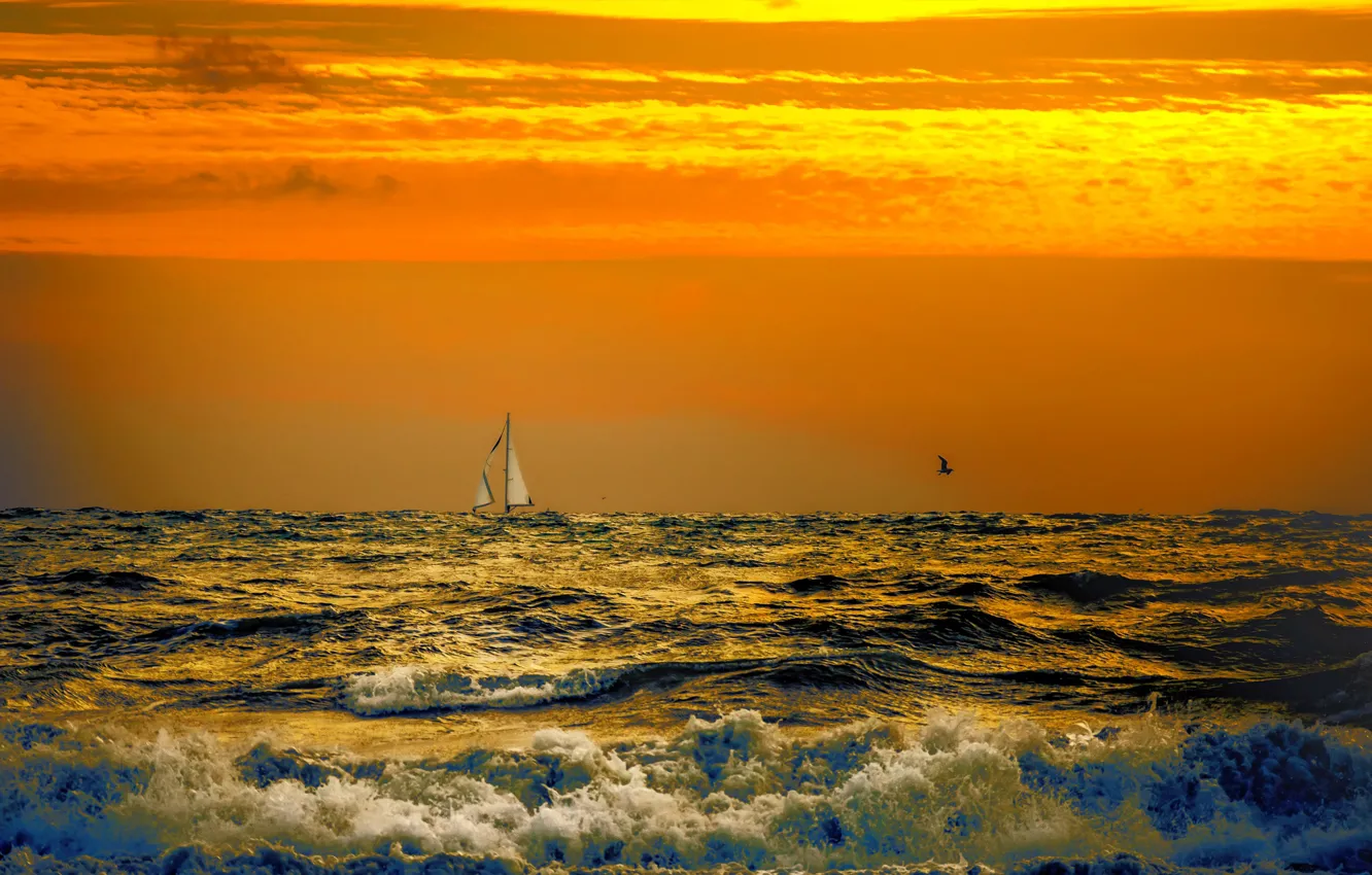 Photo wallpaper sea, wave, clouds, bird, boat, glow, sail
