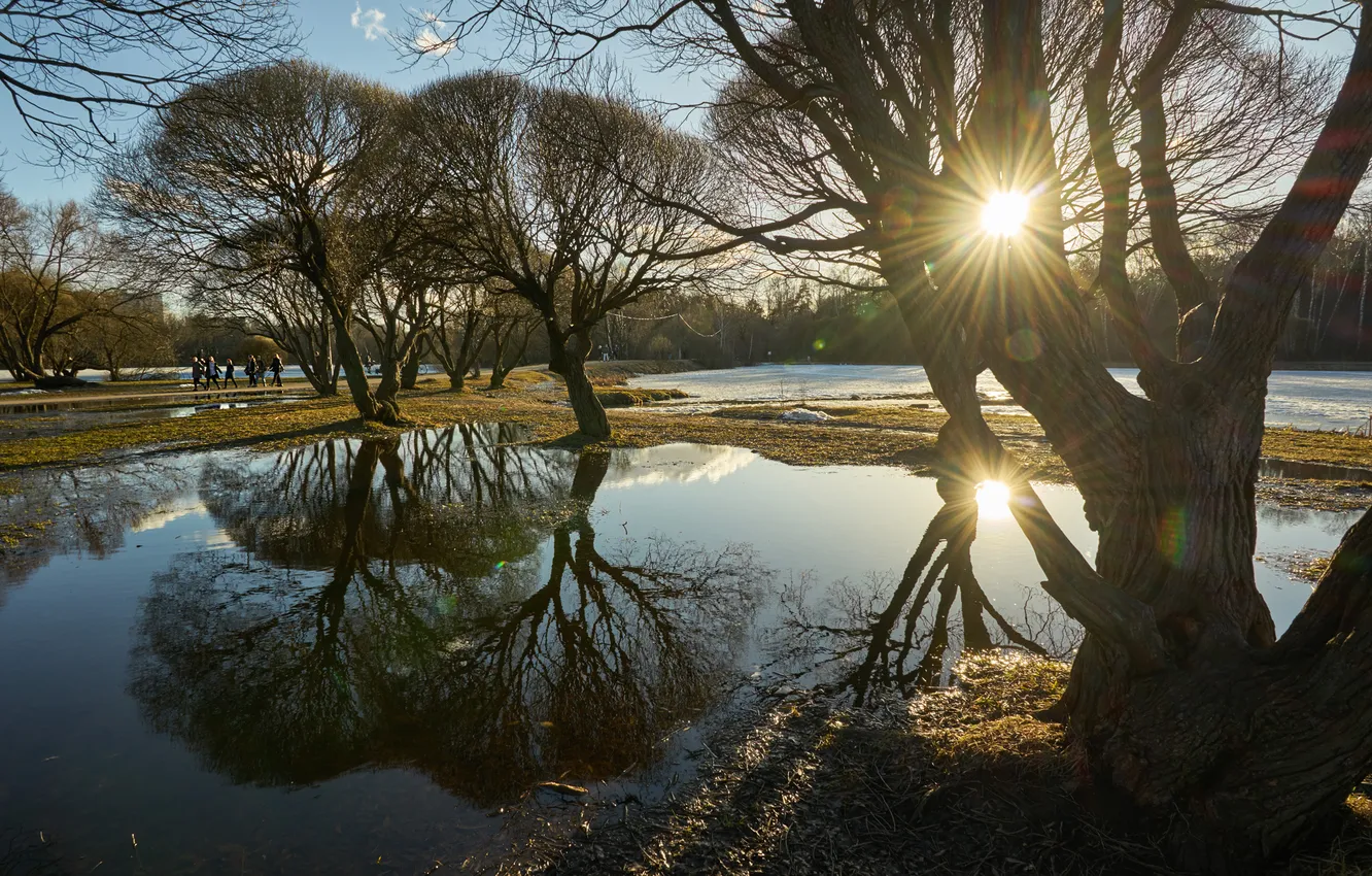 Photo wallpaper spring, March, Alexander Medvedev, Pokrovskoye-Streshnevo