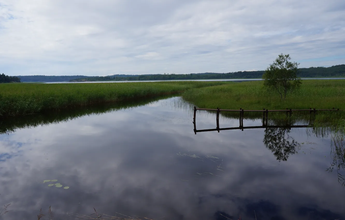 Photo wallpaper the sky, nature, river, river, nature