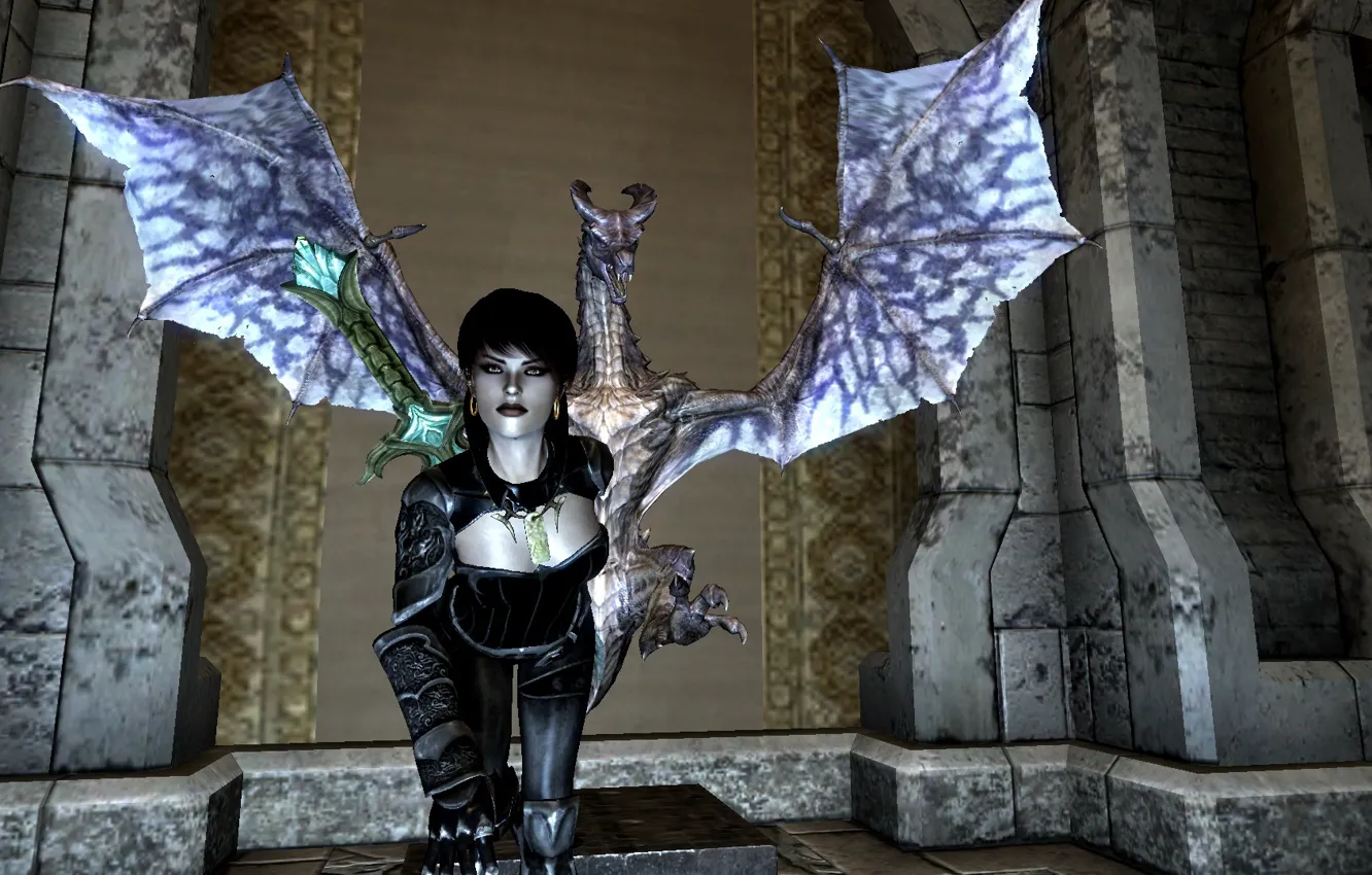 Photo wallpaper girl, dragon, Skyrim, Viarkel Castle