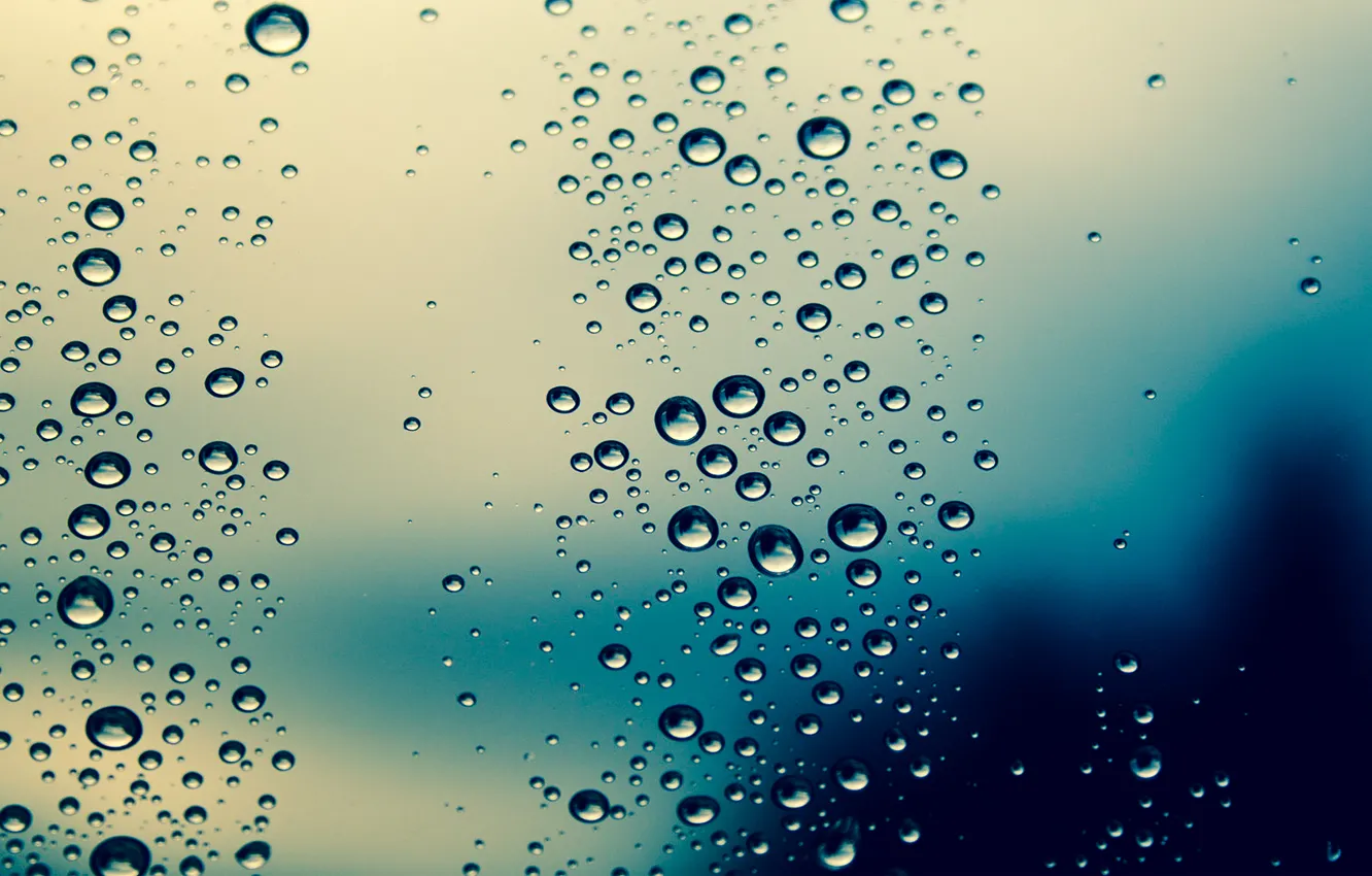 Photo wallpaper blue, rain, wet