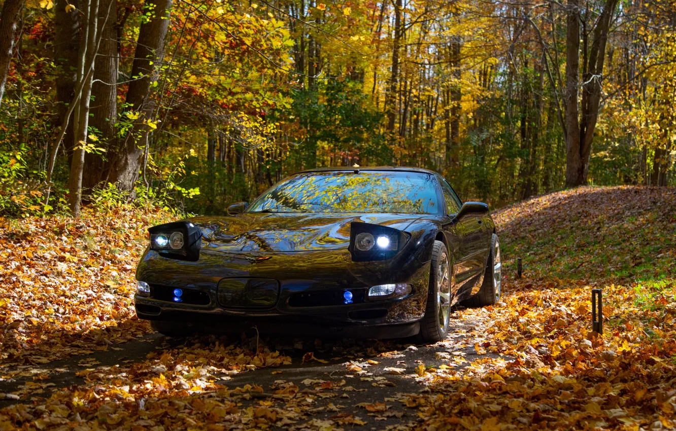 Photo wallpaper Corvette, Black, Autumn, C5
