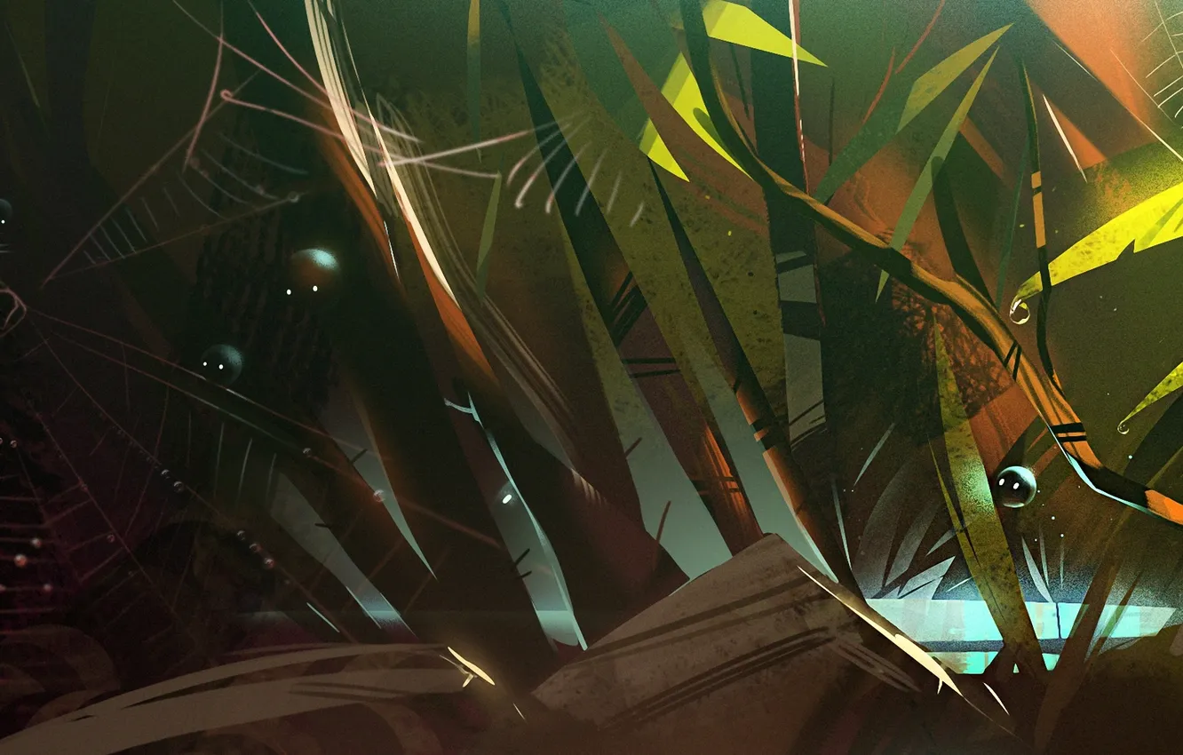 Photo wallpaper leaves, web, jungle, art