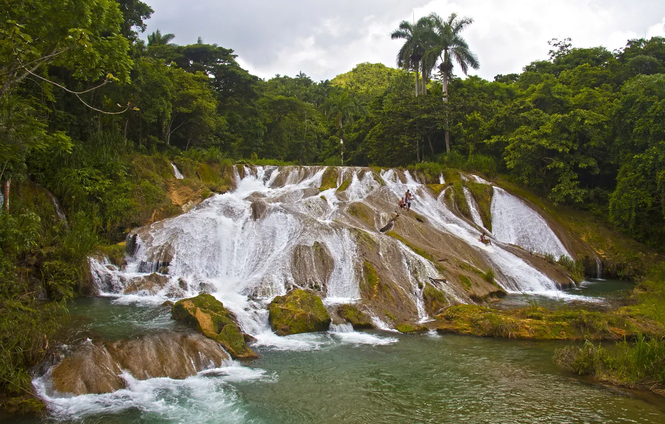 Photo wallpaper forest, nature, photo, Cuba, waterfall, Waterfalls of The Niche