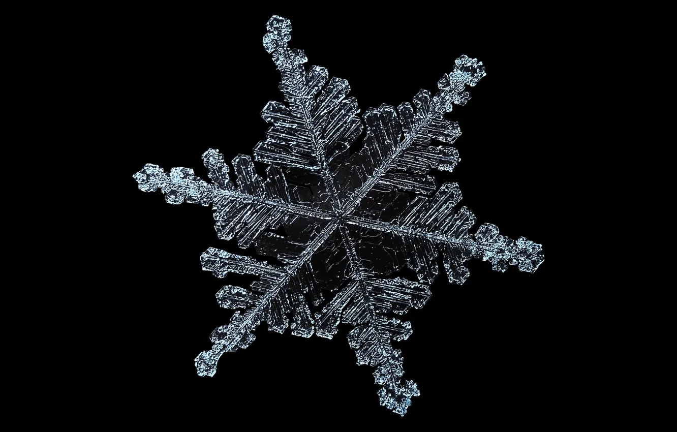 Photo wallpaper macro, pattern, black background, snowflake