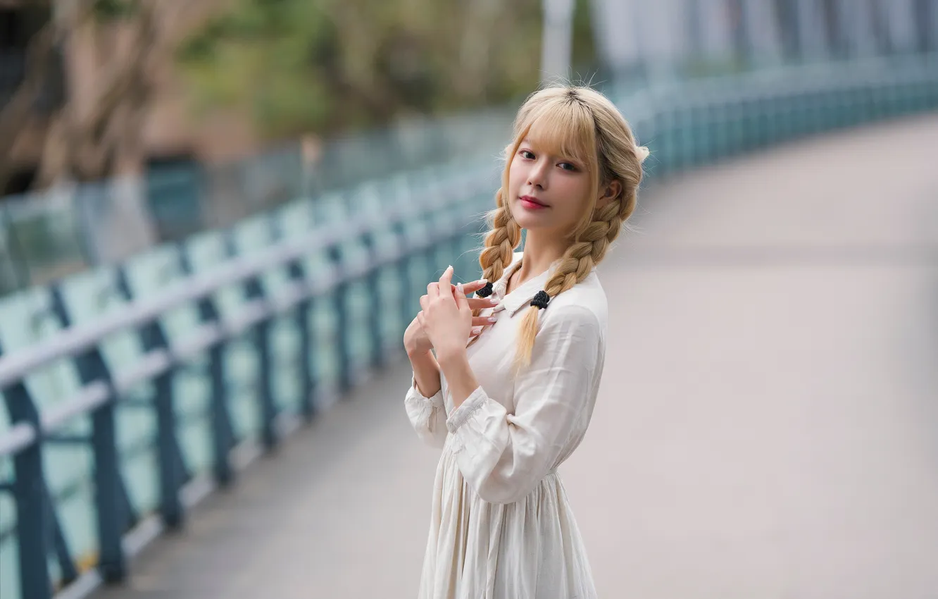 Photo wallpaper girl, Asian, bokeh, braids