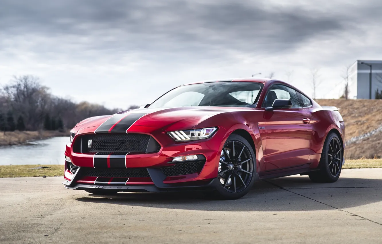 Photo wallpaper Mustang, Ford, Cobra, American, RED, Sight