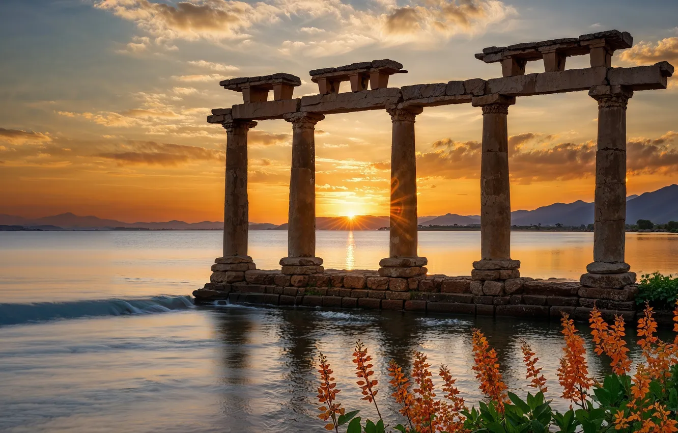 Photo wallpaper the sky, the sun, clouds, landscape, sunset, flowers, nature, shore