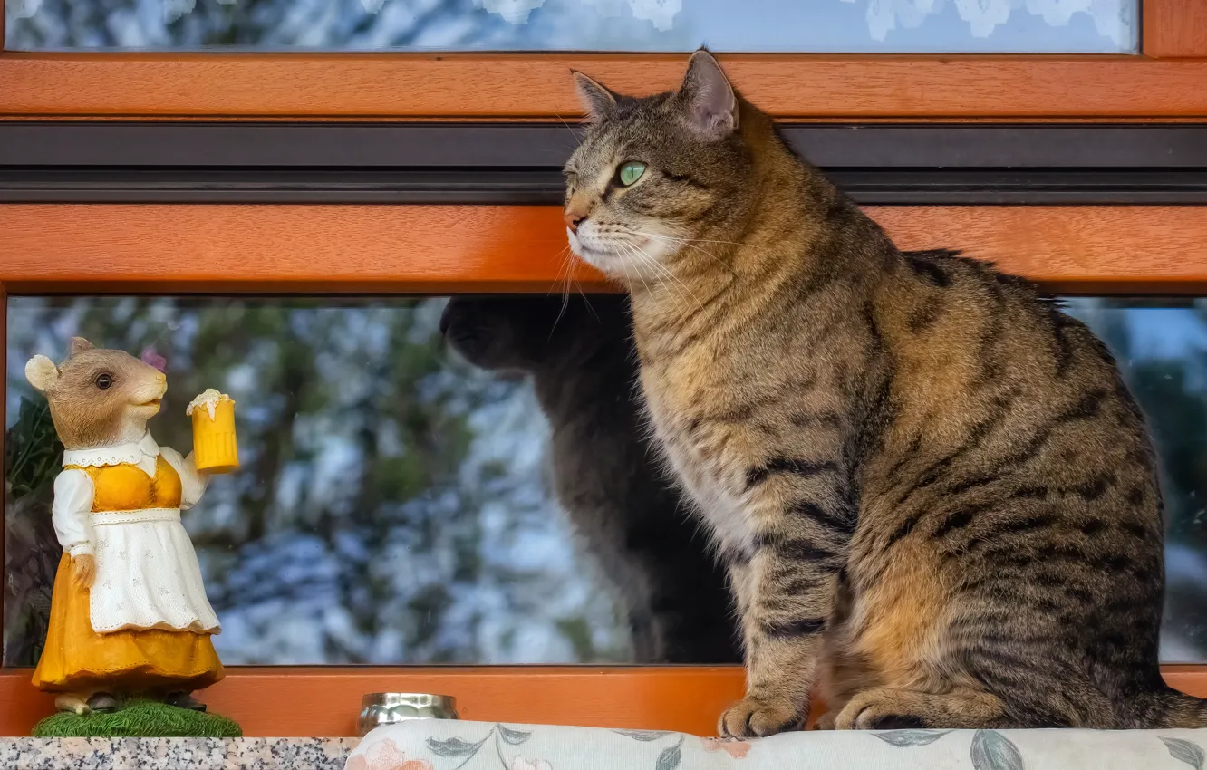 Photo wallpaper cat, toy, mouse