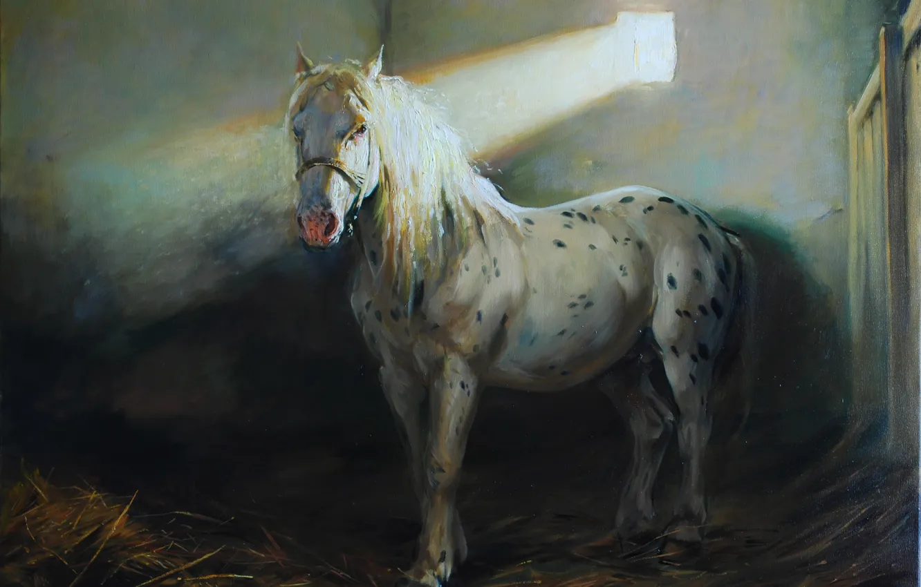 Photo wallpaper horse, horse, straw, a beam of light, Laszlo Gulyas, Laszlo Gulis
