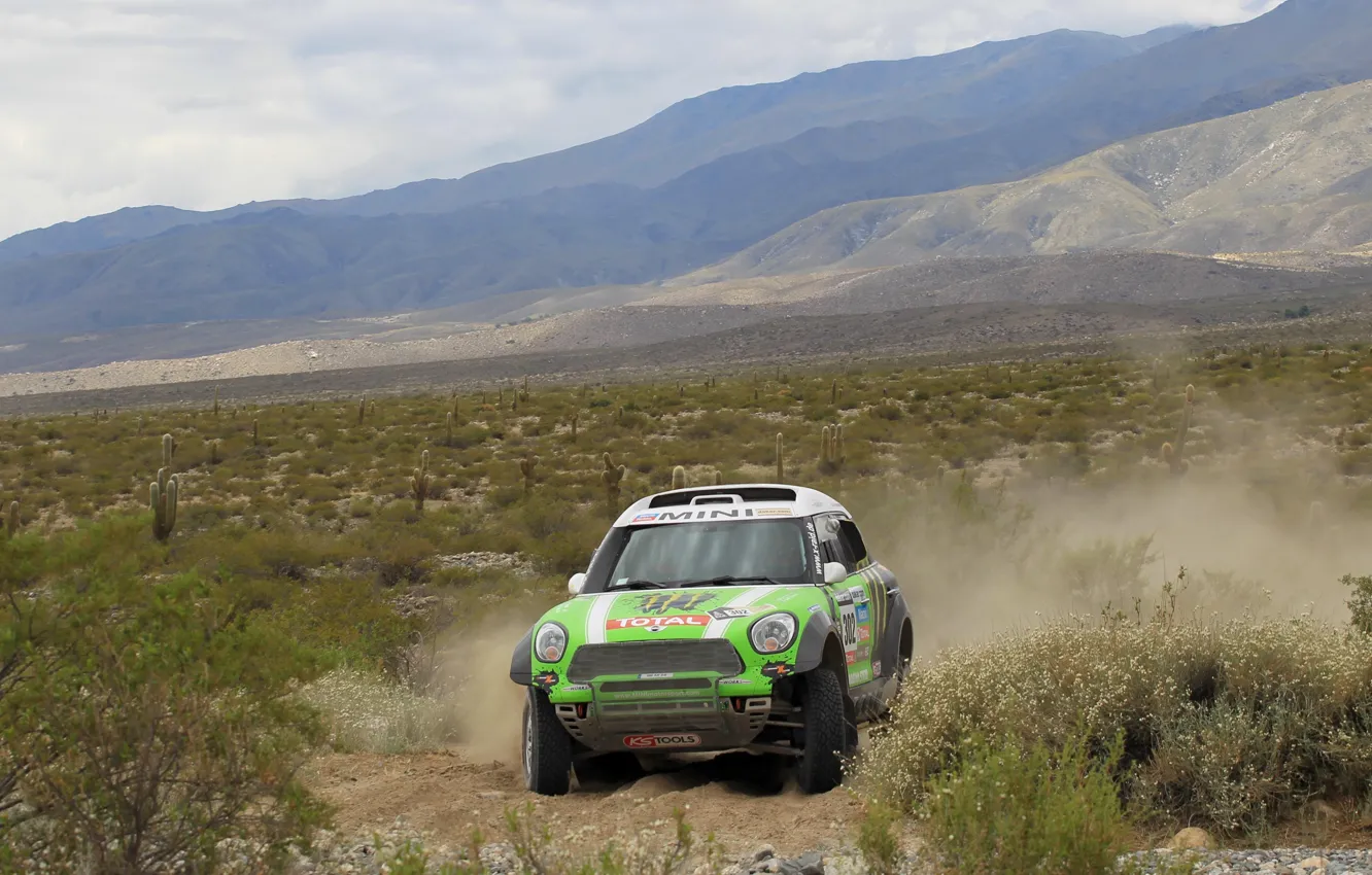 Photo wallpaper Mountains, Sport, Green, Race, Mini Cooper, Rally, Dakar, Dakar