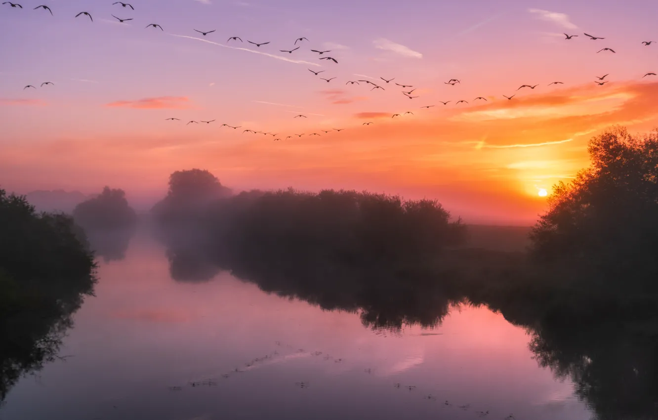 Photo wallpaper the sun, clouds, flight, sunset, fog, lake, reflection, dawn