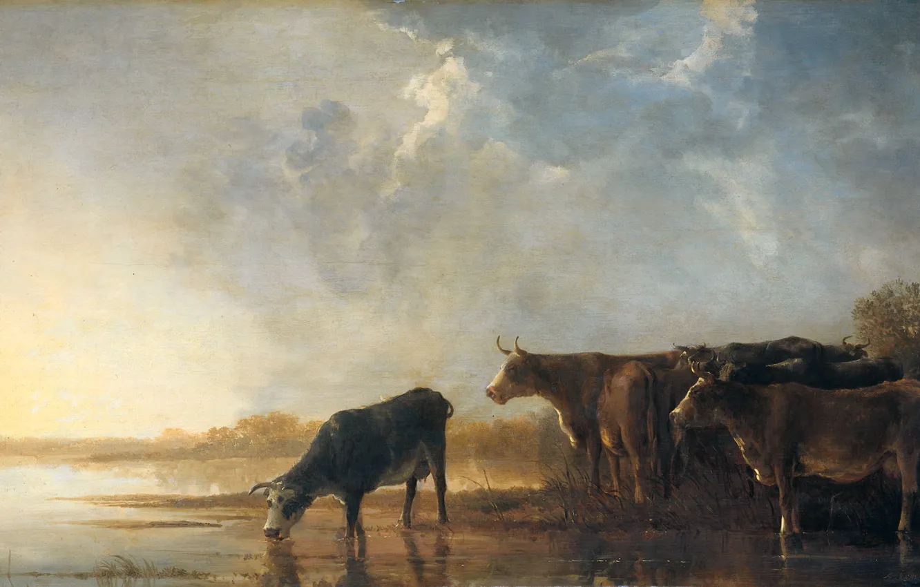 Photo wallpaper animals, landscape, picture, Albert Jacobs Cape, River Landscape with Cows