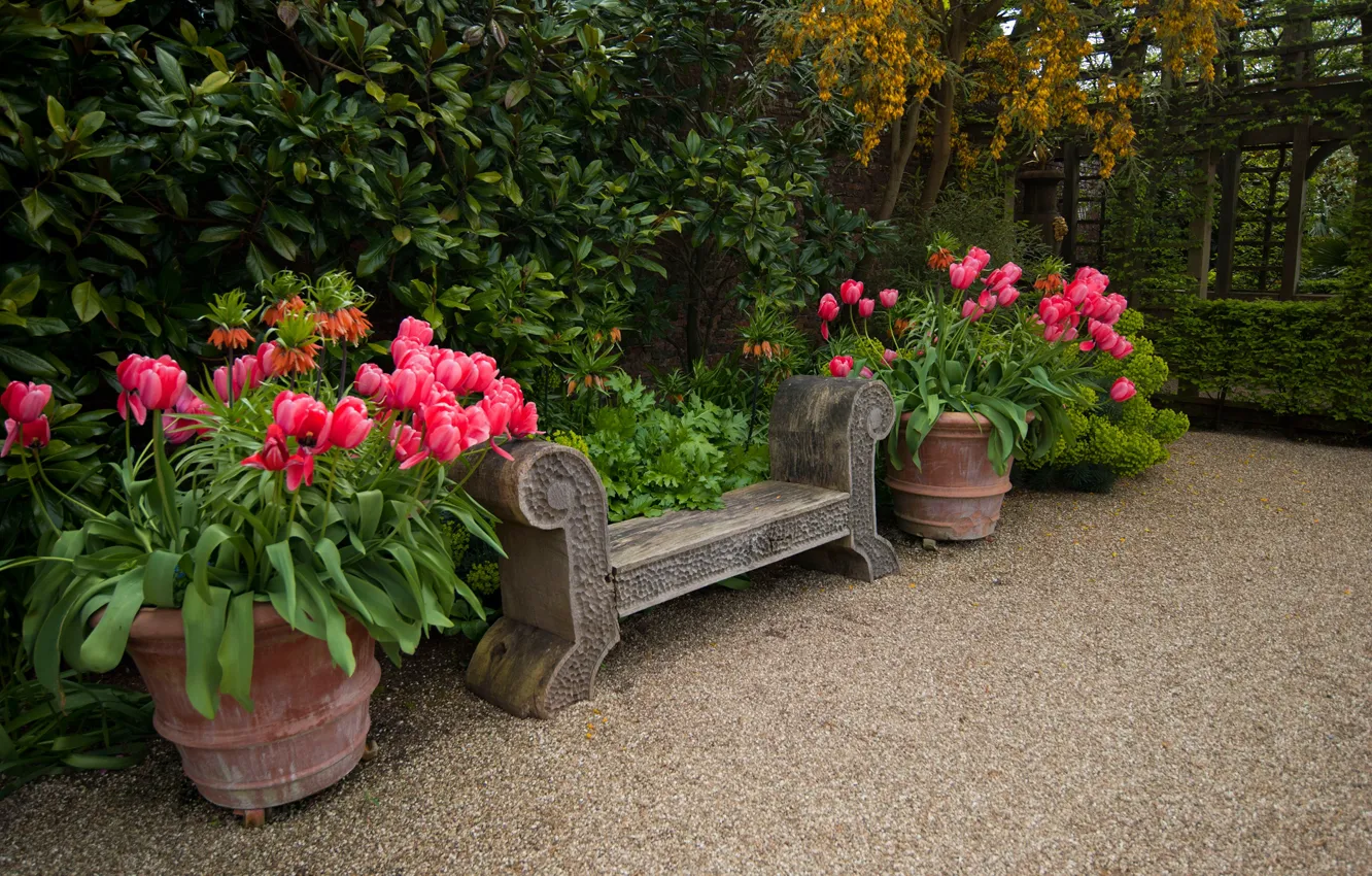 Photo wallpaper greens, trees, flowers, Park, England, garden, shop, tulips