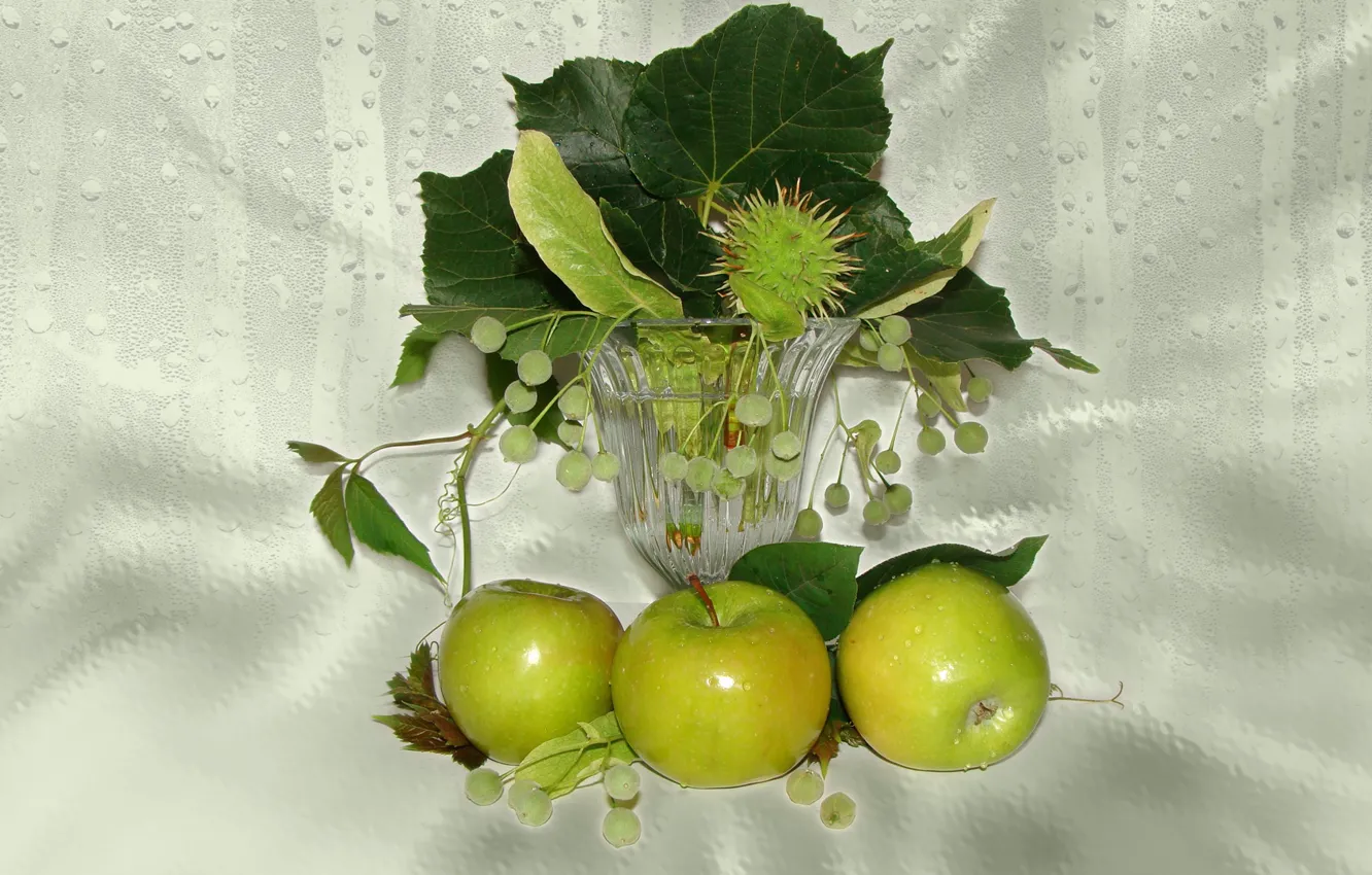 Photo wallpaper summer, Linden, vase, chestnuts, author's photo by Elena Anikina, green apples