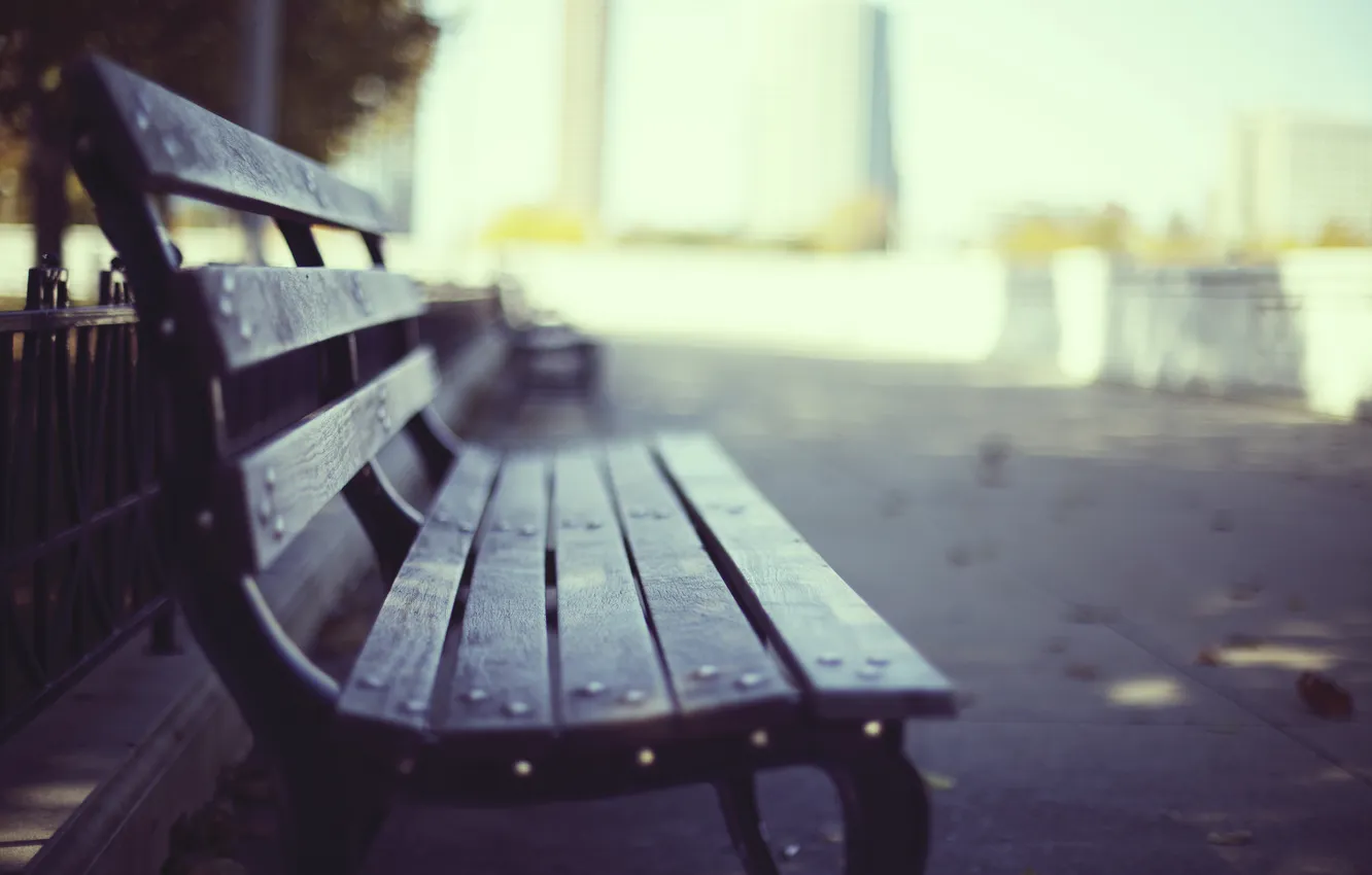 Photo wallpaper asphalt, leaves, macro, bench, the city, Park, background, mood