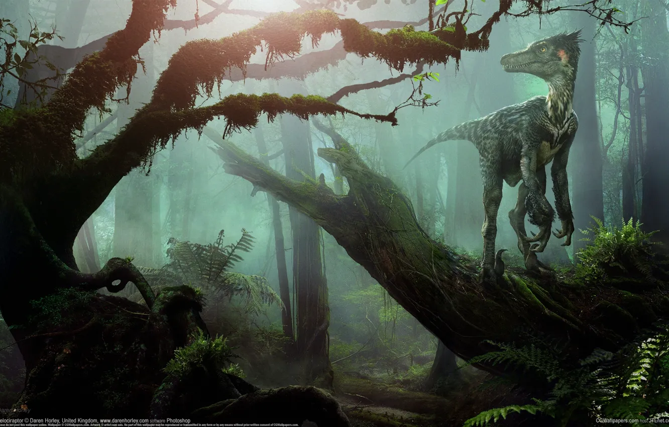 Photo wallpaper forest, dinosaur, Daren Horley, VelociRaptor