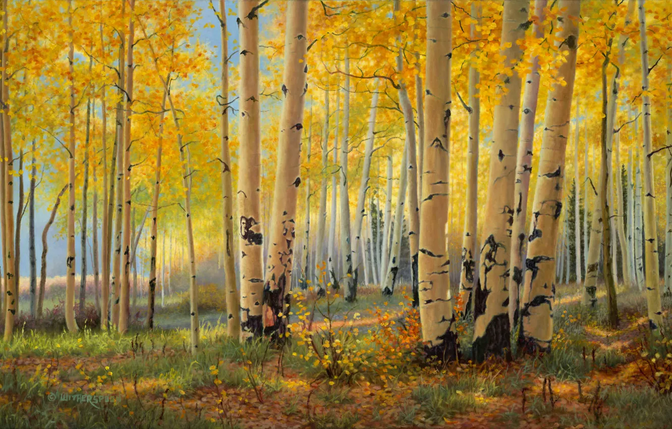 Photo wallpaper autumn, forest, painting, art, birch, grove, Golden autumn, Kay Witherspoon