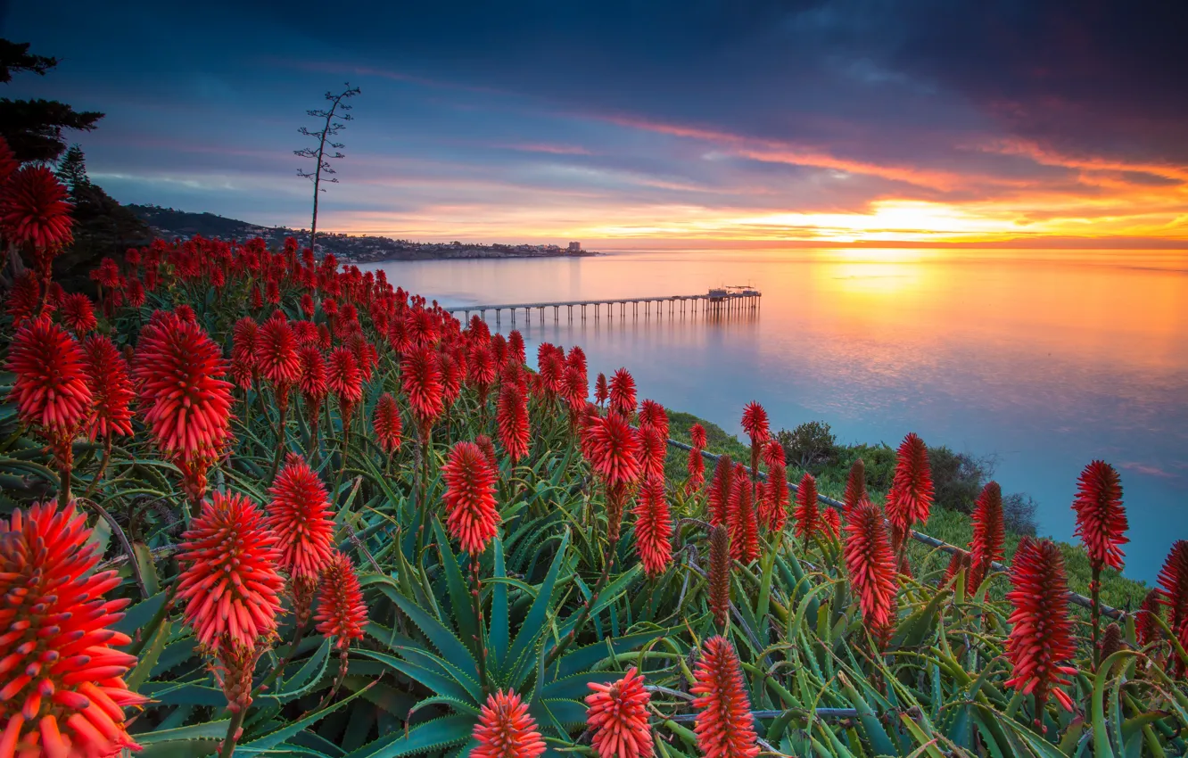Photo wallpaper sea, the sky, clouds, sunset, flowers, pier, USA, USA