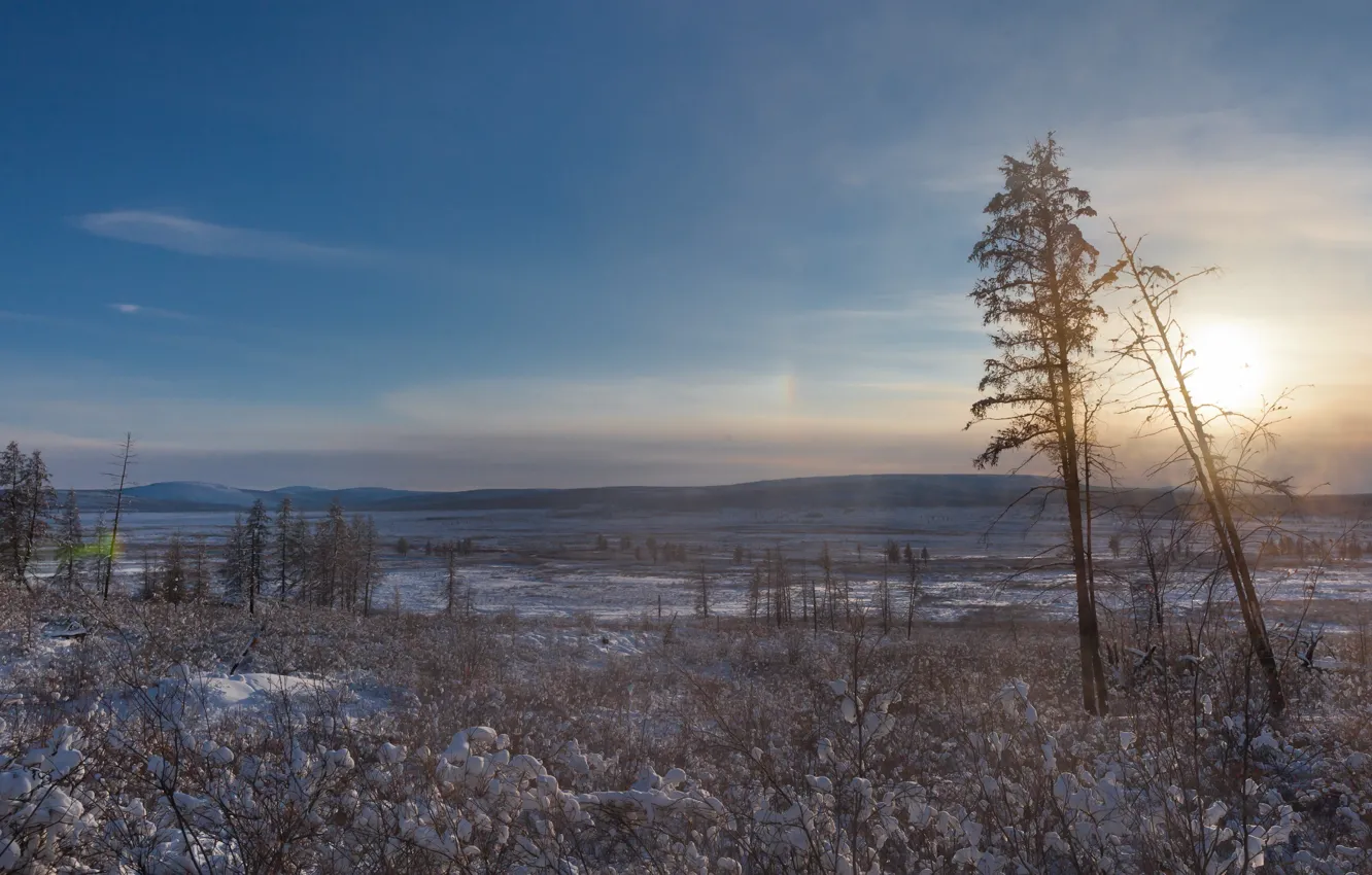 Photo wallpaper the sun, snow, trees, North, the pole of cold, Oymyakon