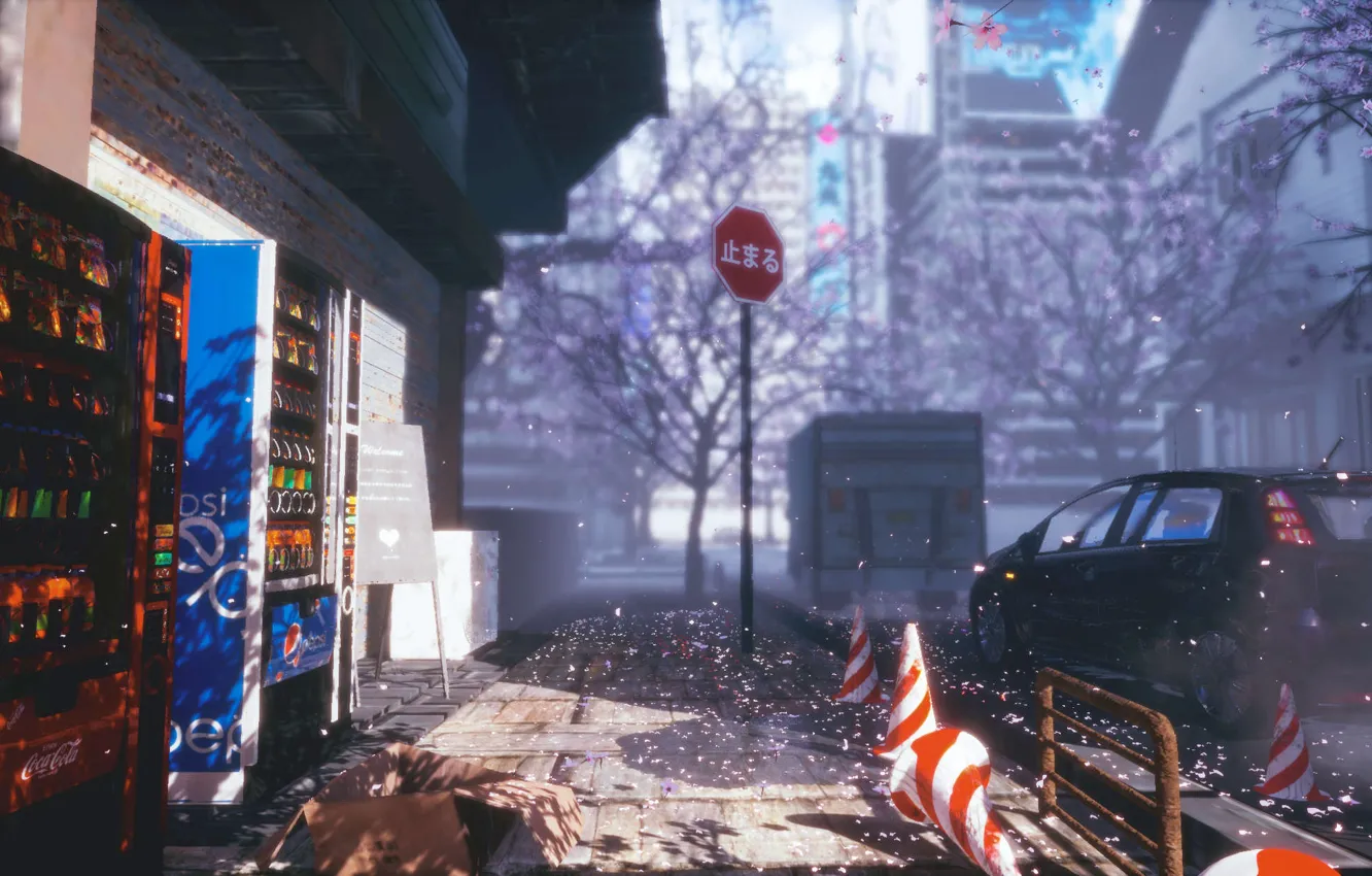 Photo wallpaper auto, the city, street, spring, Sakura, machine