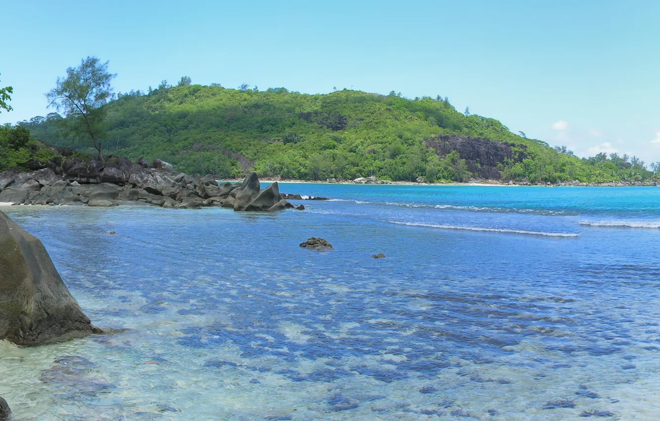 Photo wallpaper sand, wave, forest, beach, the sky, water, trees, landscape