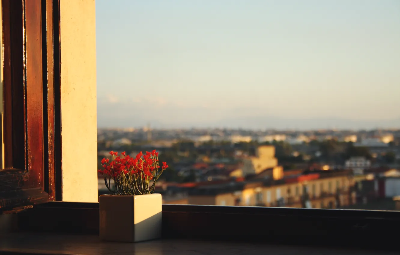 Photo wallpaper the sky, flowers, view, window, pot, sill