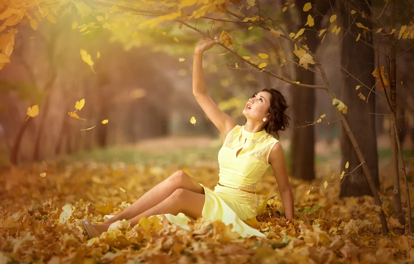 Photo wallpaper road, autumn, look, girl, branches, nature, pose, Park