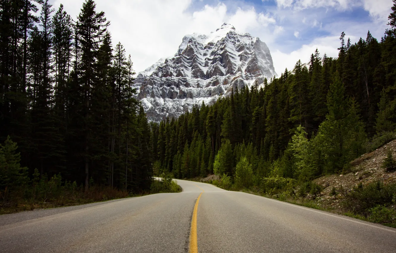 Photo wallpaper road, forest, clouds, mountains, the way, rocks, tops, view