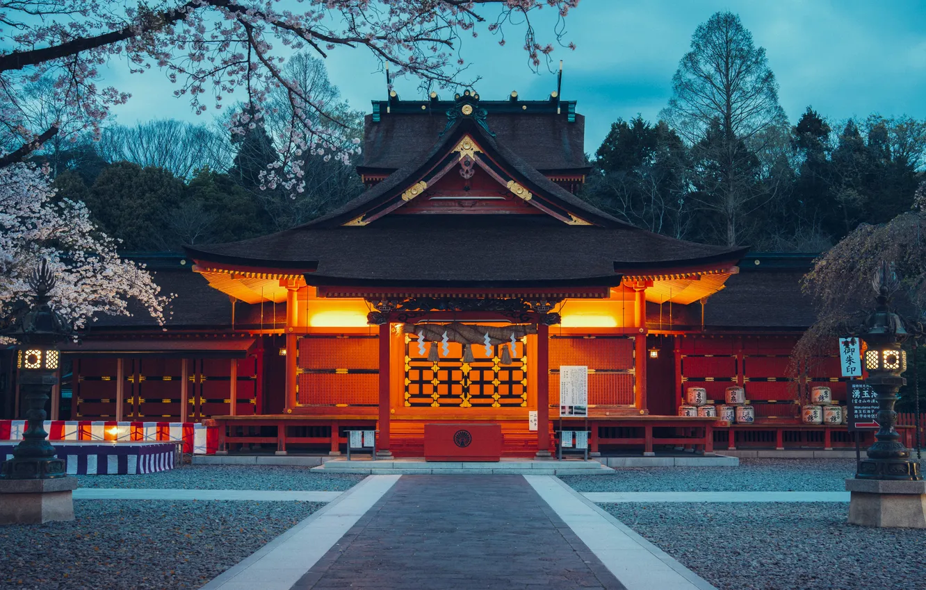 Photo wallpaper building, pagoda, Japan, Hongū