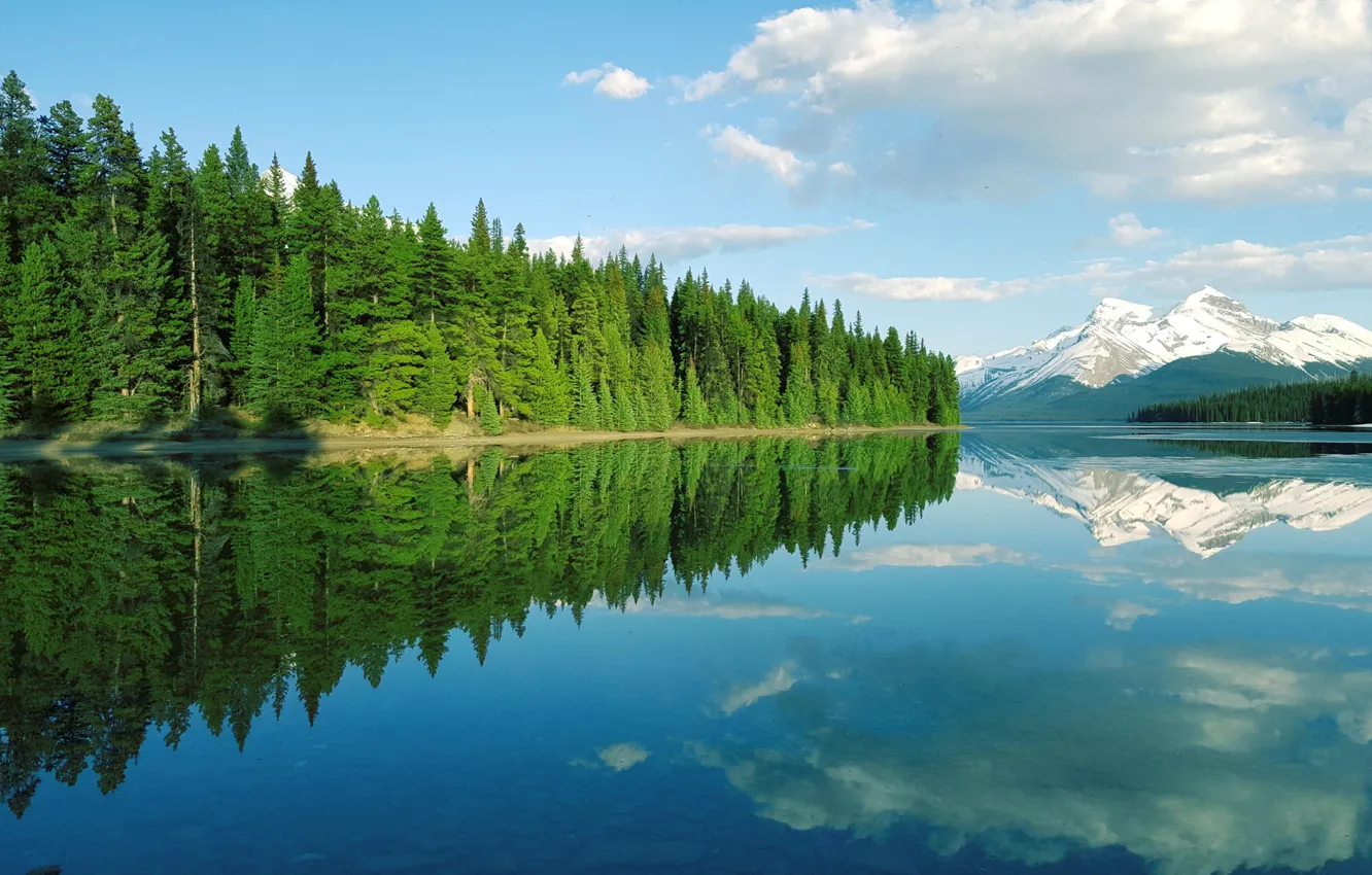 Photo wallpaper forest, water, mountains, lake, reflection