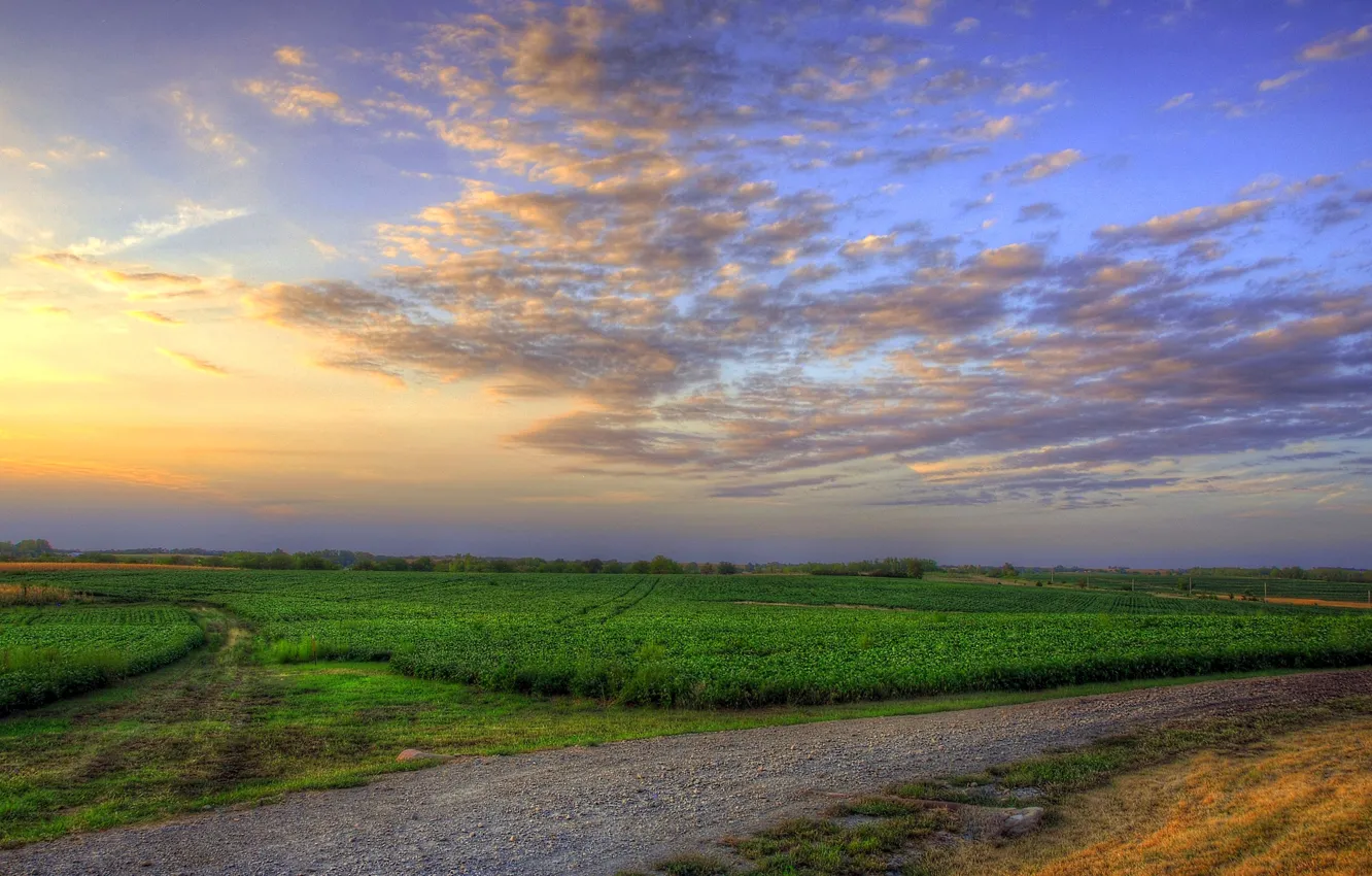 Photo wallpaper road, field, the sky, clouds, sunset