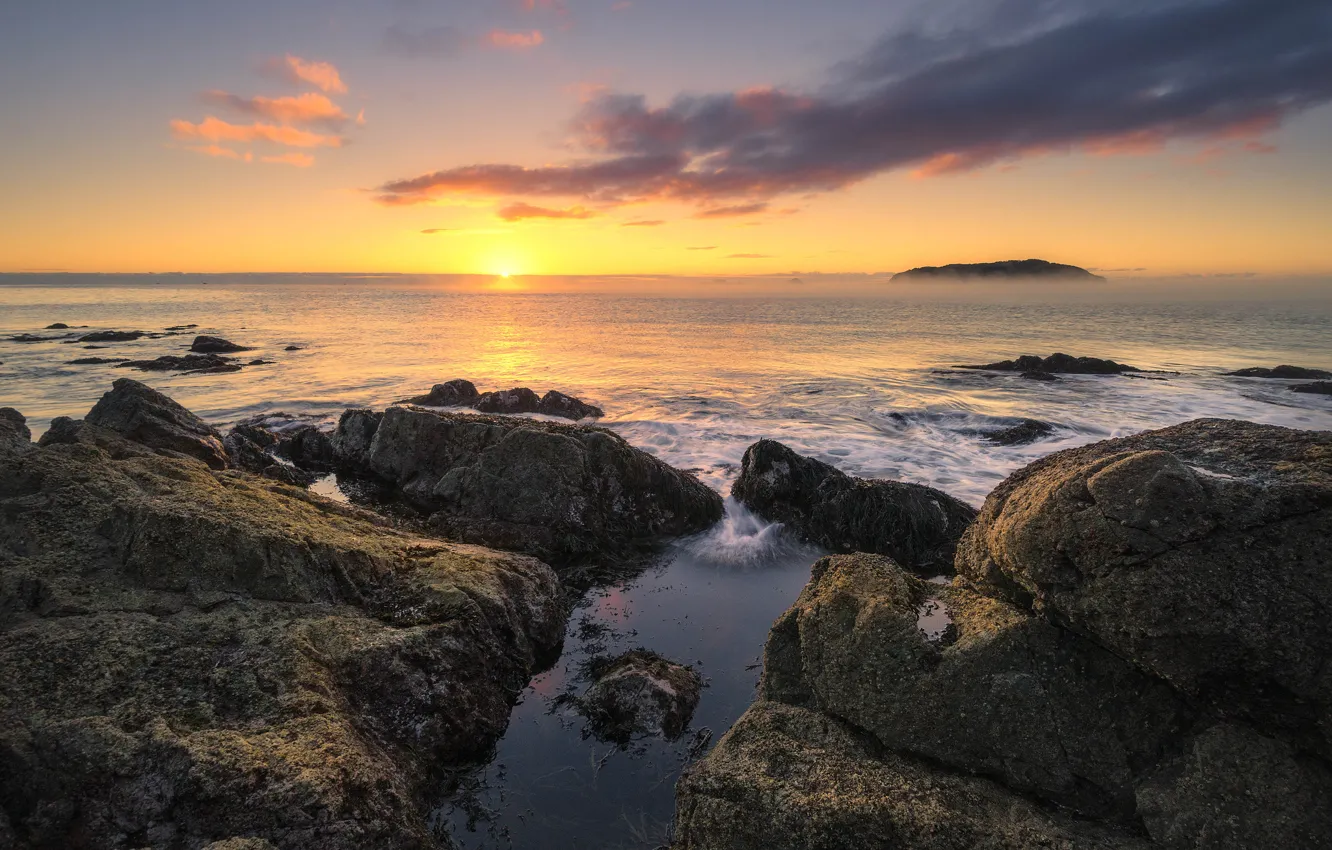 Photo wallpaper the sun, stones, the ocean, dawn, morning, New Zealand, horizon, Waikato