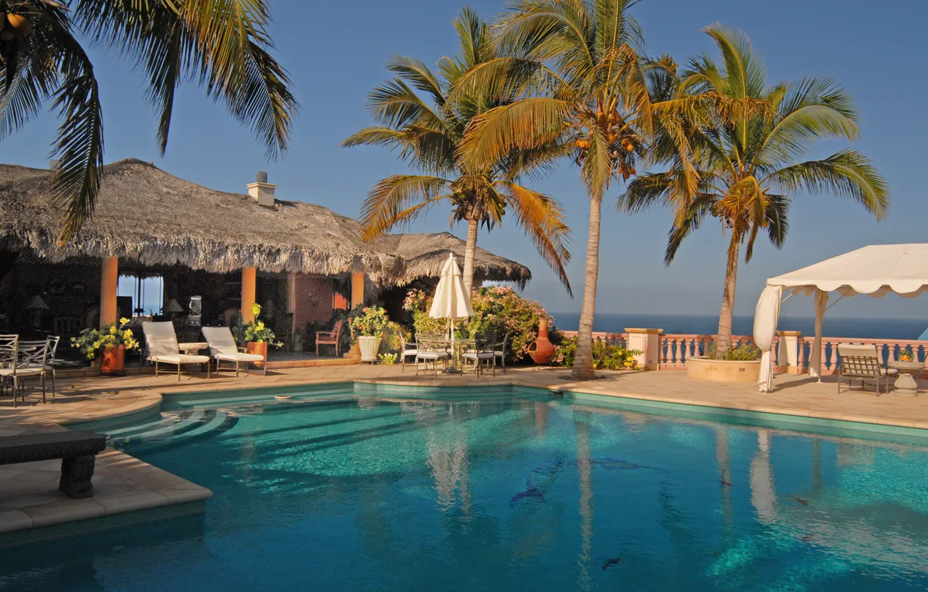 Photo wallpaper palm trees, the ocean, Villa, pool, resort