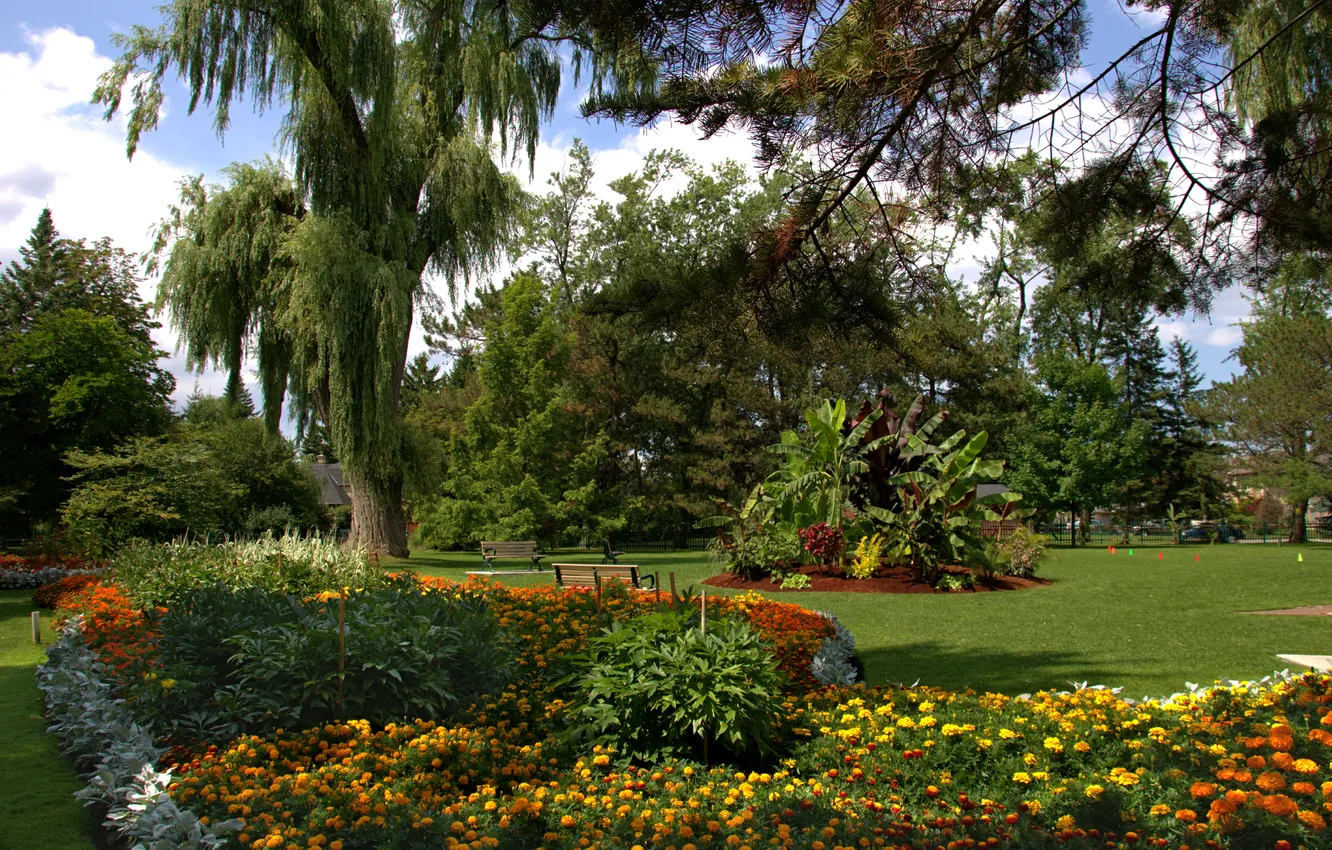 Photo wallpaper Canada, Toronto, marigolds, Ontario Botanical Garden