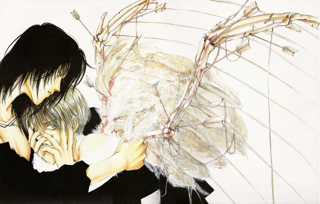 Photo wallpaper wings, feathers, hugs, arrows, black hair, angel sanctuary, The abode of the angel, Setsuna Mudo