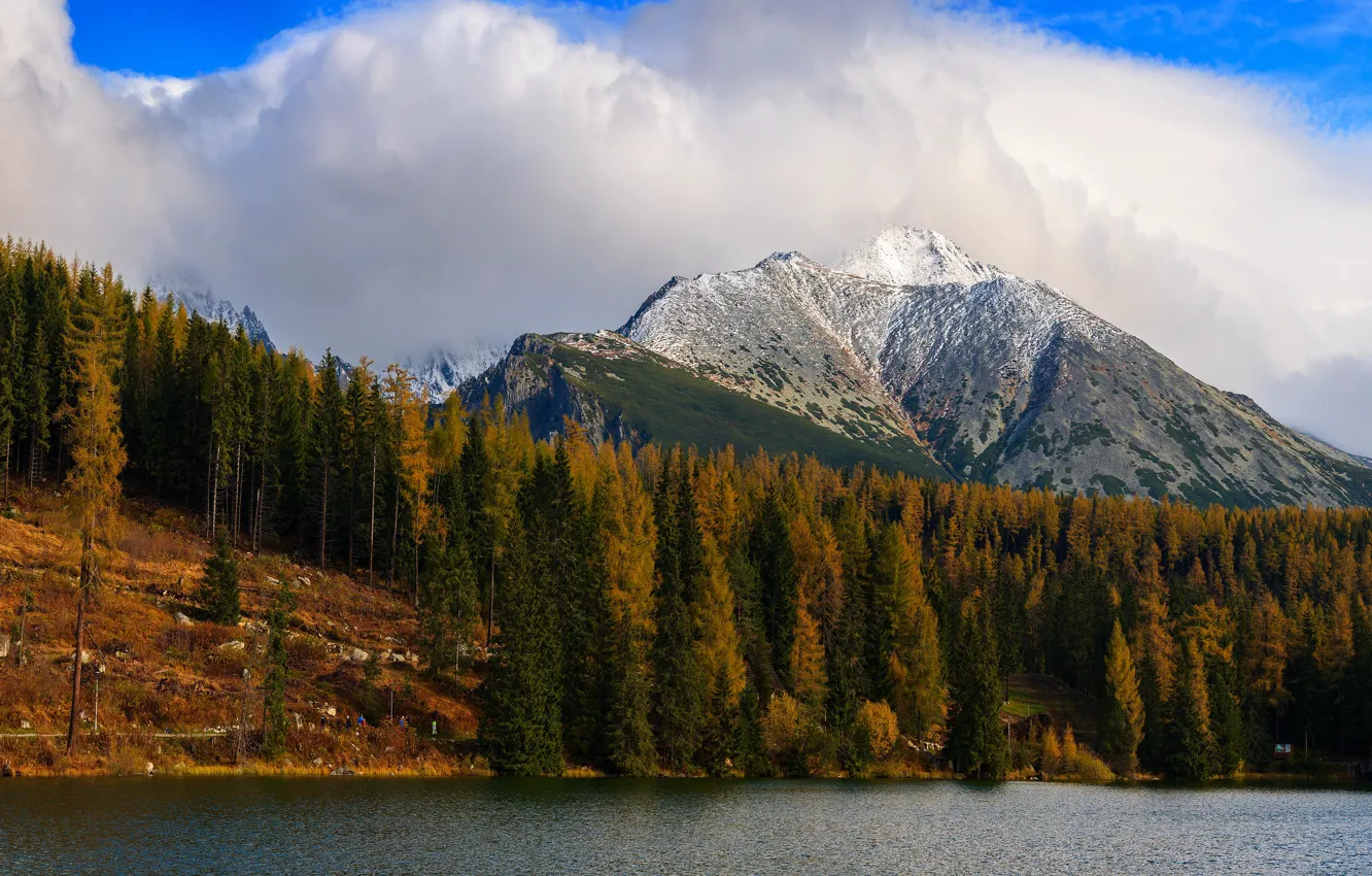 Photo wallpaper autumn, forest, clouds, snow, trees, mountains, nature, blue
