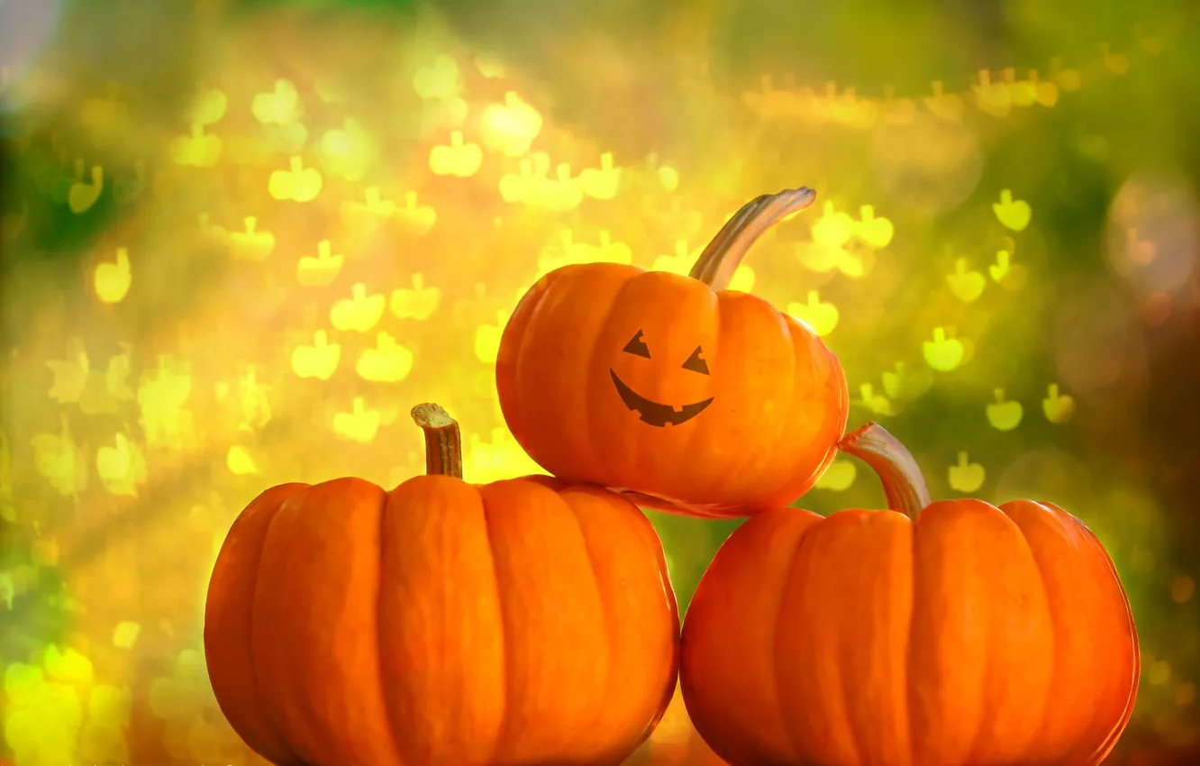 Photo wallpaper background, pumpkin, Halloween, Helloween