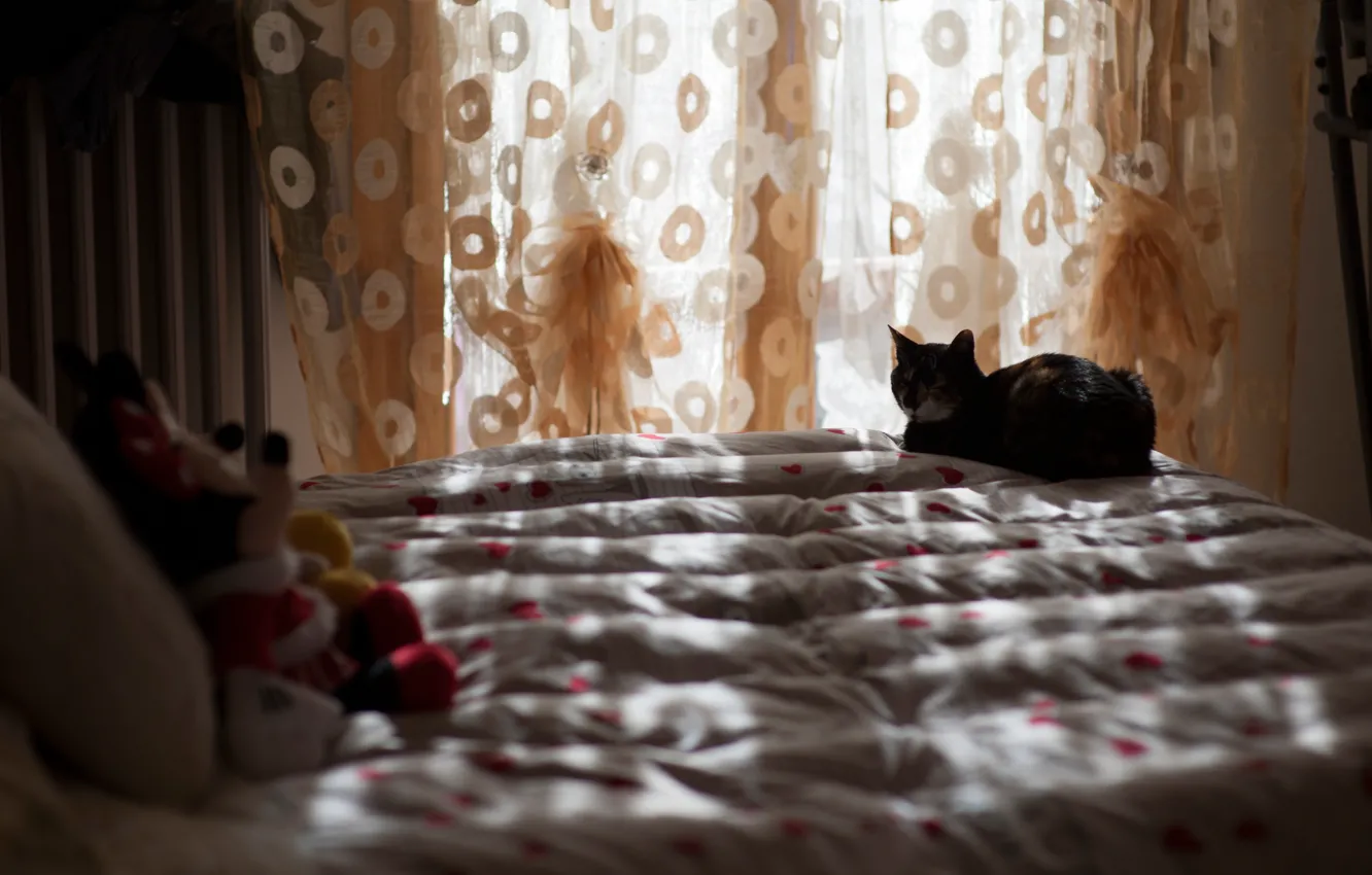 Photo wallpaper cat, rays, light, comfort, house, room, mood, toys