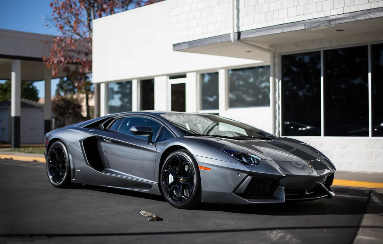 Photo wallpaper reflection, grey, the building, Windows, lamborghini, side view, grey, aventador