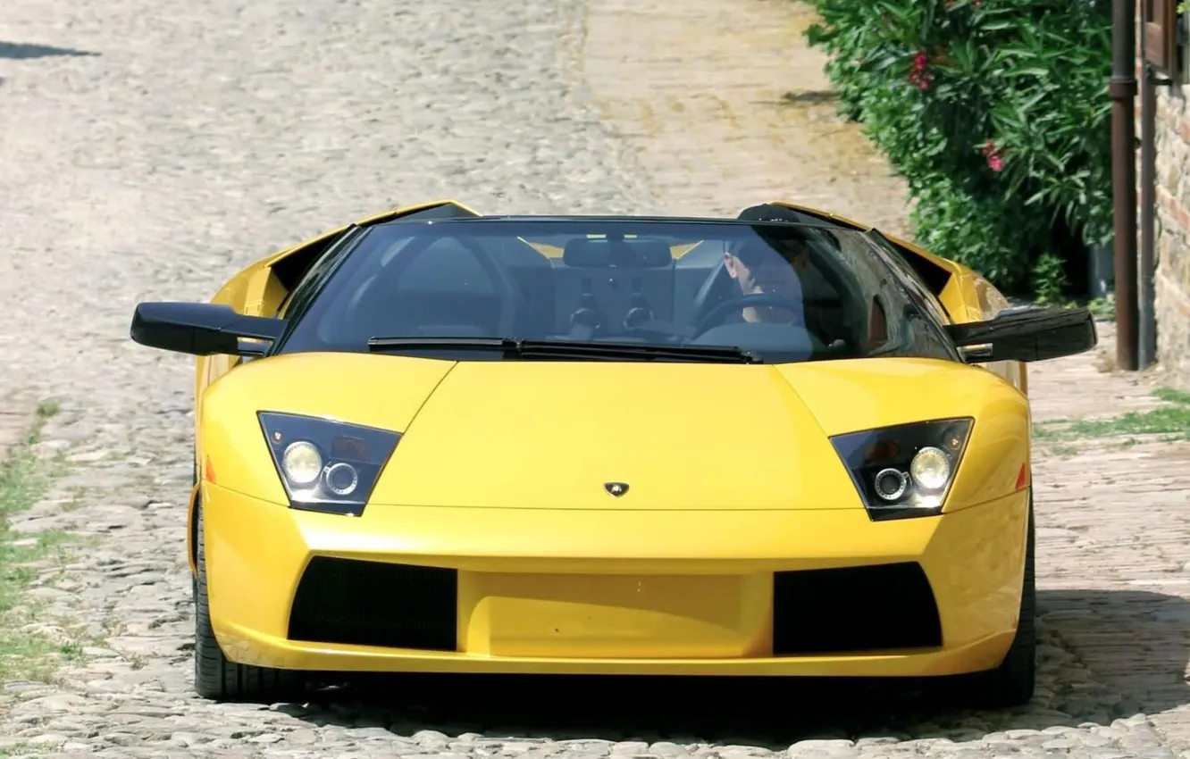 Photo wallpaper Lamborghini, yellow, sport car, front view