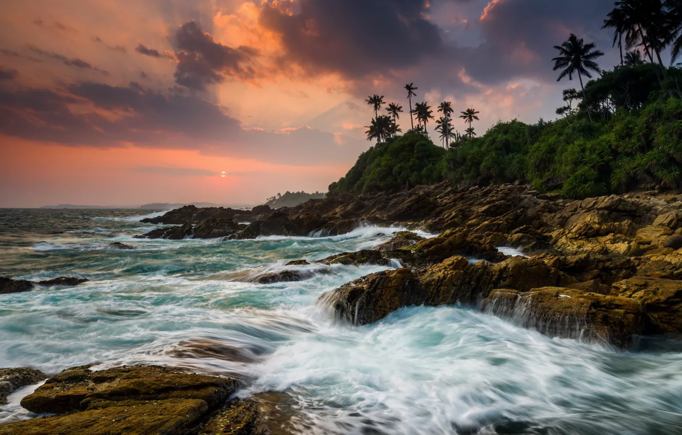 Photo wallpaper palm trees, the ocean, coast, the evening, Sri Lanka, Rocky shoreline at Tangalle