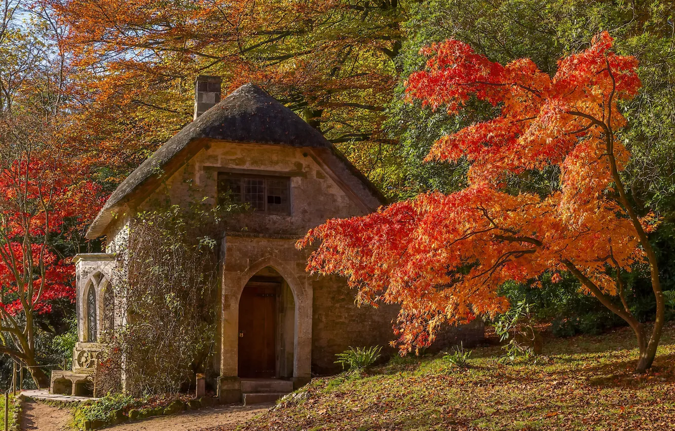 Photo wallpaper autumn, trees, house, Park, England, maple, Stored, England