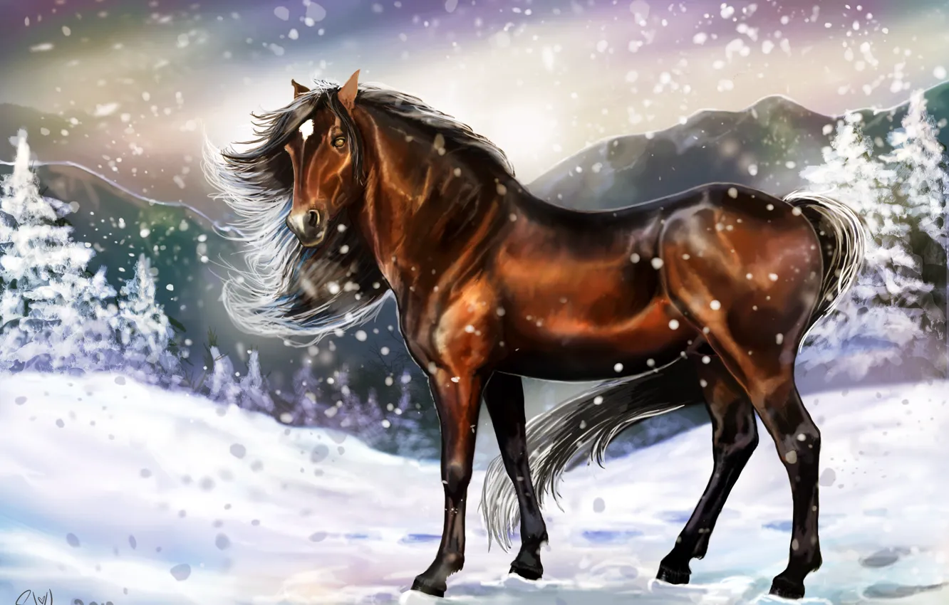 Photo wallpaper cold, winter, look, snow, traces, animal, horse, art