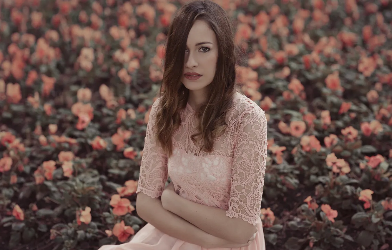 Photo wallpaper look, girl, flowers, face, background, dress