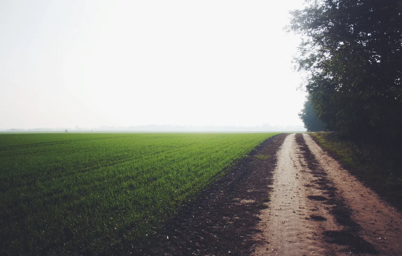 Photo wallpaper road, grass, trees