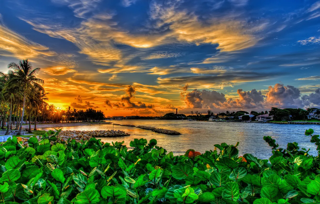 Photo wallpaper sunset, FL, Florida, Jupiter, Dubois Park
