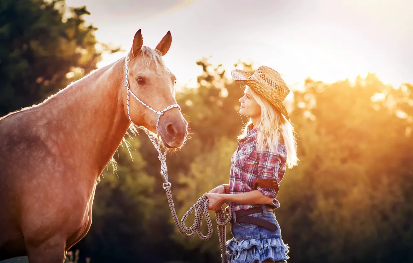 Photo wallpaper girl, light, horse