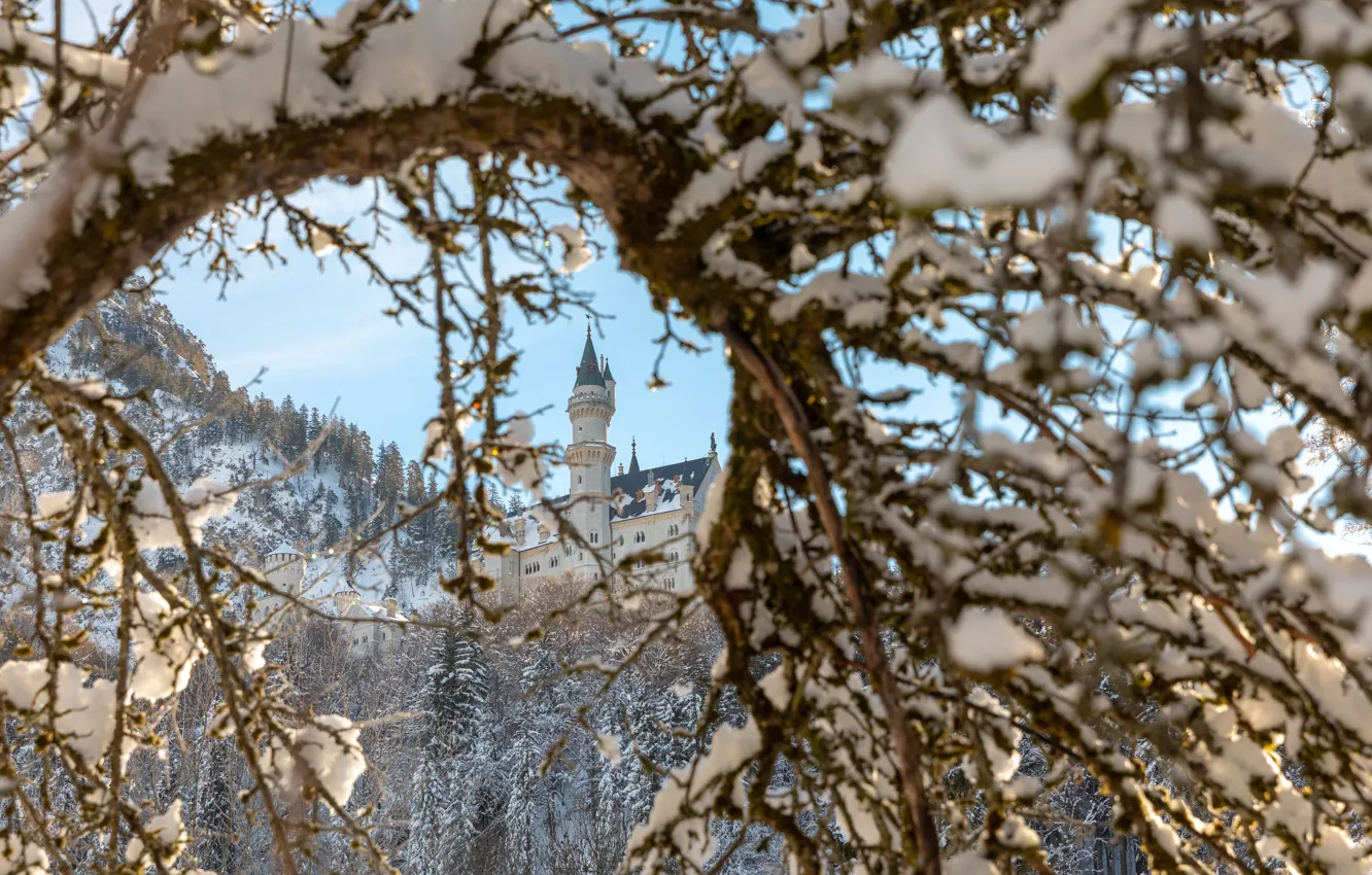 Photo wallpaper winter, snow, landscape, mountains, branches, nature, castle, Germany